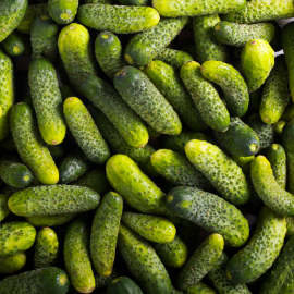 Les cornichons 100% français du Jardin d'Orante